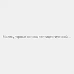 Брошюра Основы пептидергической регуляции старения