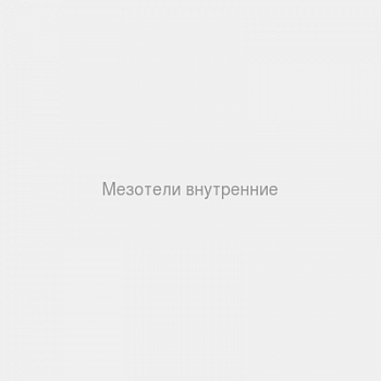 Мезотели внутренние